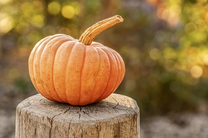Pumpkin and autumn leaves